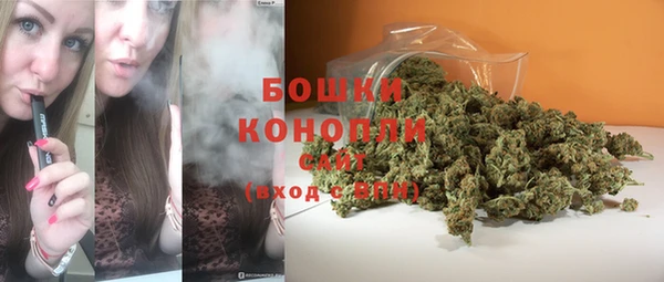 стафф Вязьма