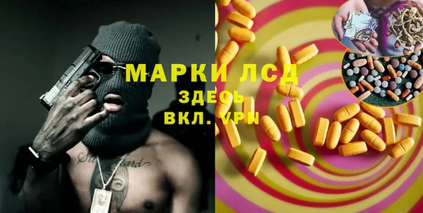 стафф Вязьма