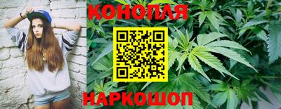 сатива Наро-Фоминск