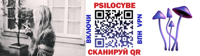 цена наркотик  Елец  kraken как зайти  Псилоцибиновые грибы GOLDEN TEACHER 