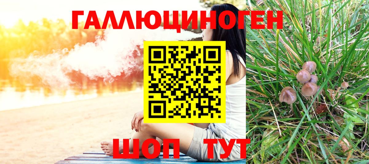 Псилоцибиновые грибы GOLDEN TEACHER Елец