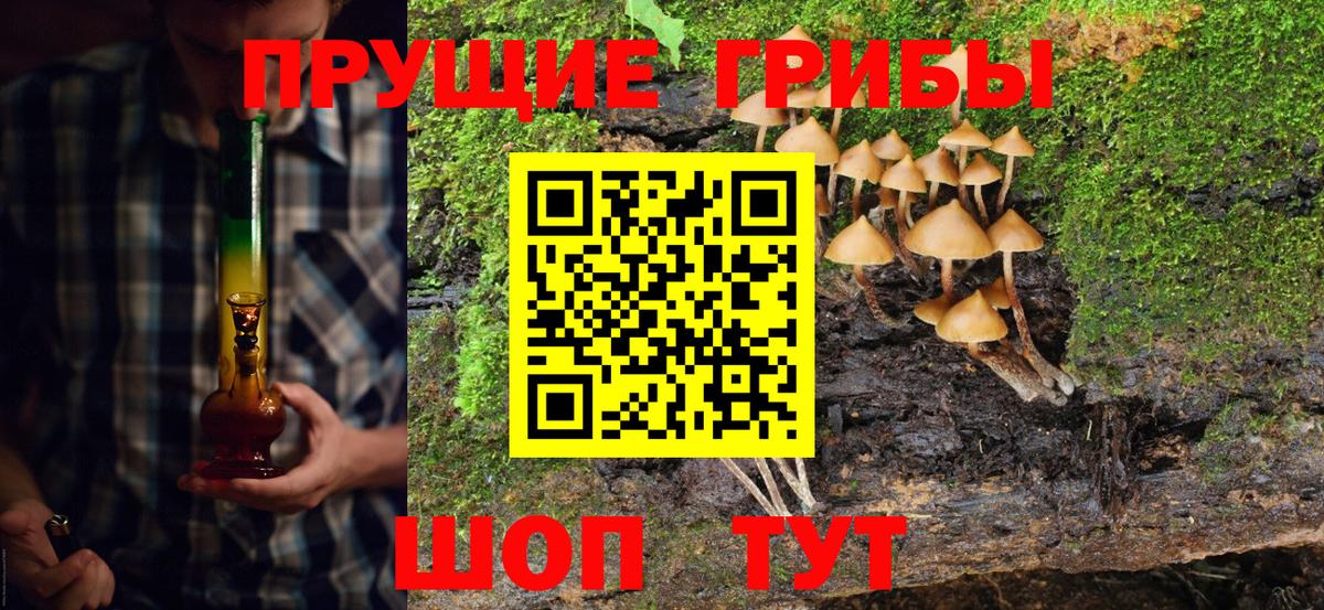 Елец  Псилоцибиновые грибы Cubensis  Галлюциногенные грибы MAGIC MUSHROOMS  Вход с VPN 