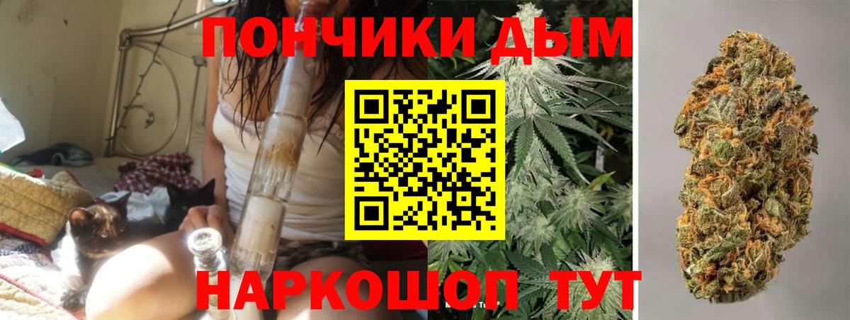 МАРИХУАНА план Елец
